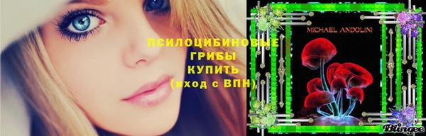 тгк Абинск