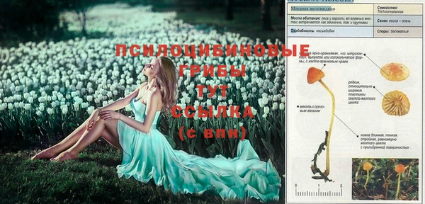 тгк Абинск
