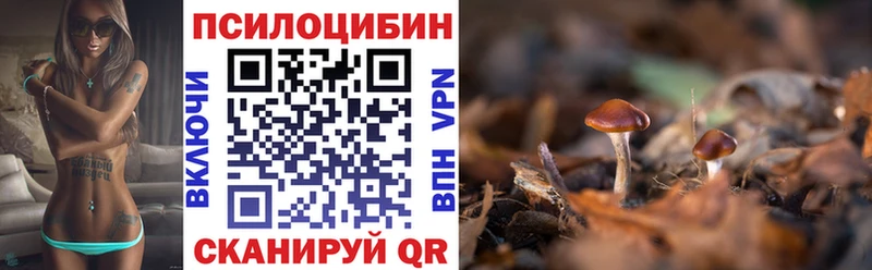 Псилоцибиновые грибы GOLDEN TEACHER  наркота  Киселёвск 